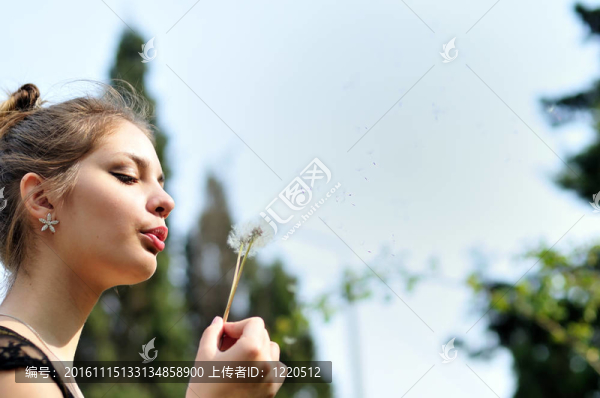 女孩與蒲公英