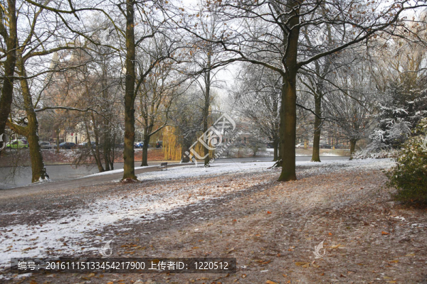 在公園里陽光明媚的冬日