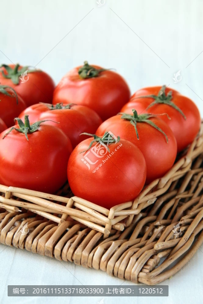 許多成熟的西紅柿