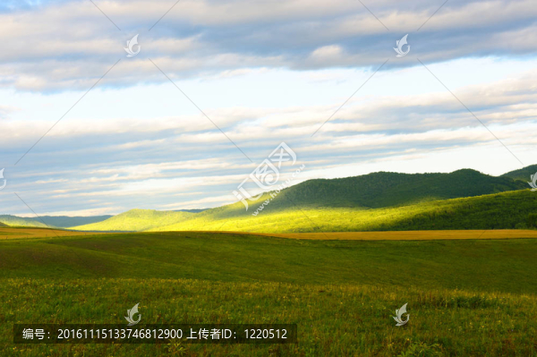 草原景觀