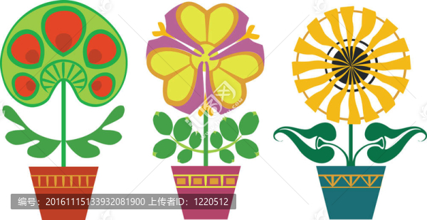 花的顏色09