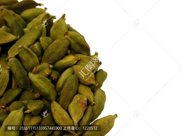 豆蔻籽