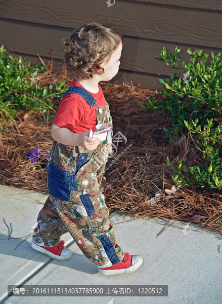 幼兒到戶外散步