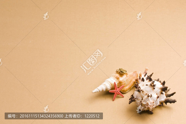 貝殼