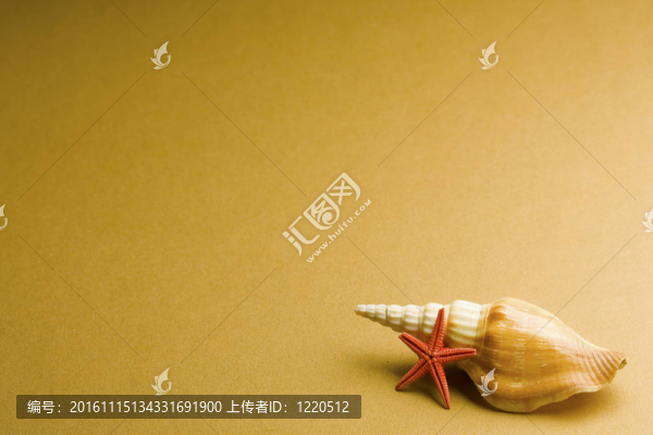 貝殼-匯圖網(wǎng) www.fosd68.com 貝殼