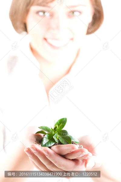 綠色植物