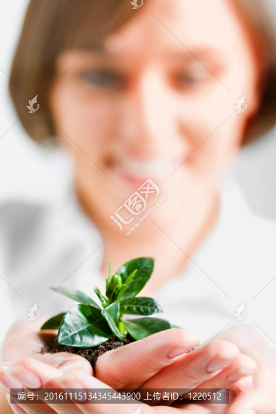 萌芽