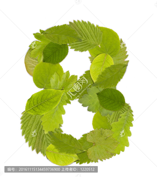 綠葉數(shù)