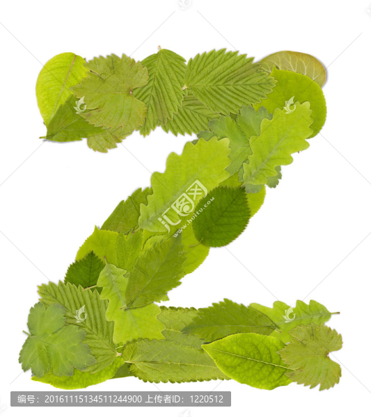 綠葉的信