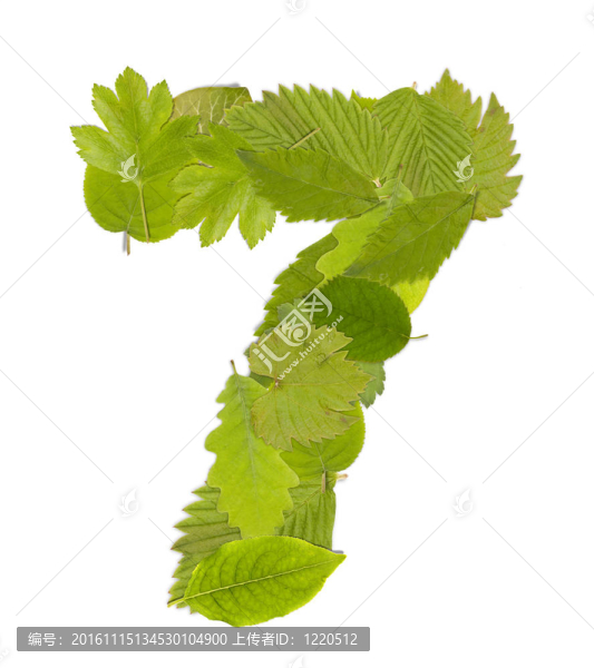 綠葉數(shù)