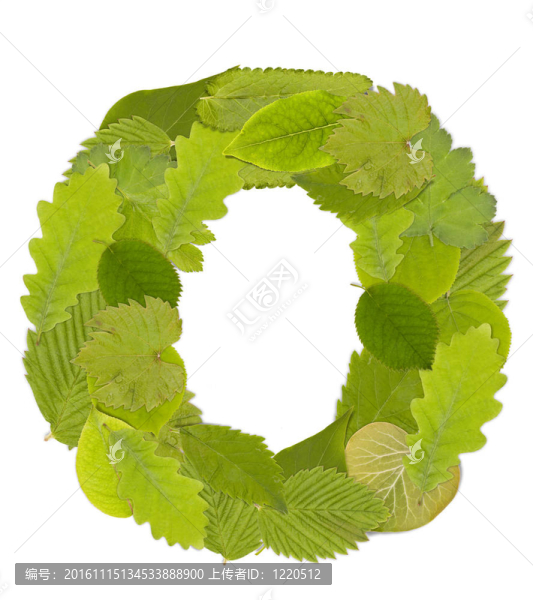 綠葉的信-匯圖網(wǎng) www.fosd68.com 綠葉的信