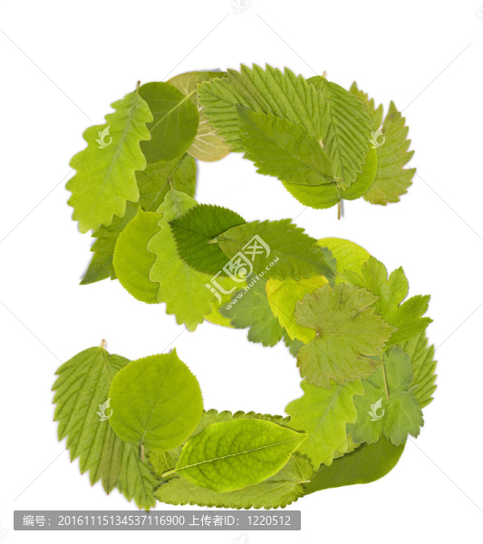 綠葉的信