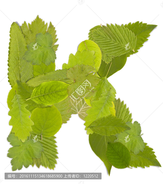 綠葉的信