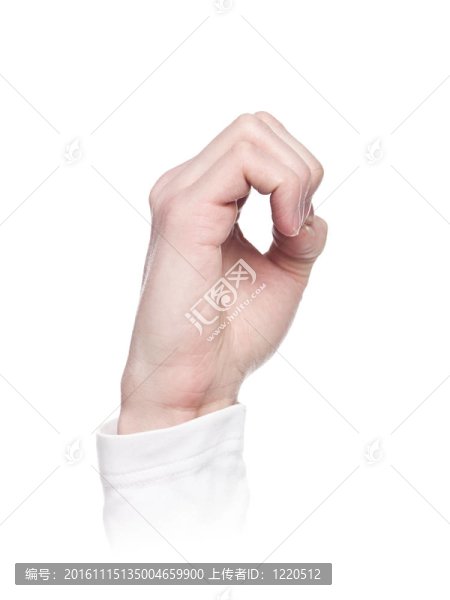 字母O