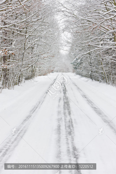 雪道；捷克共和國(guó)