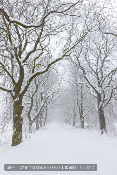 雪道；捷克共和國
