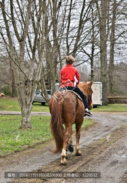 騎著馬的年輕男孩