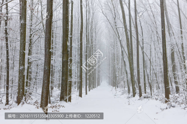 雪道；捷克共和國