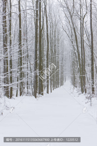 雪道；捷克共和國