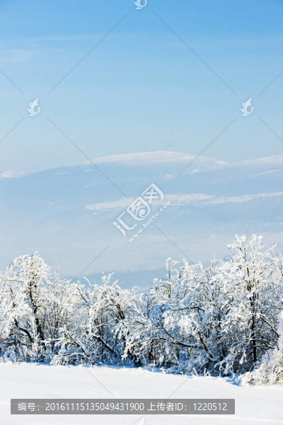 在冬天jeseniky山；捷克共和國