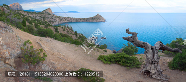 novyj該保護區(qū)的海岸線（克里米亞；烏克蘭）
