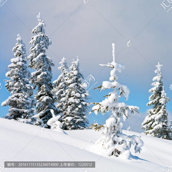 雪景