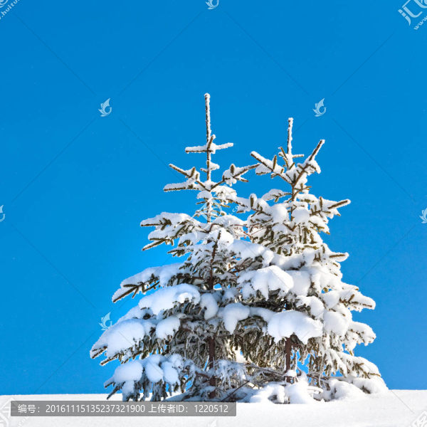 雪景