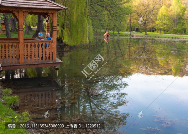 公園的春天湖