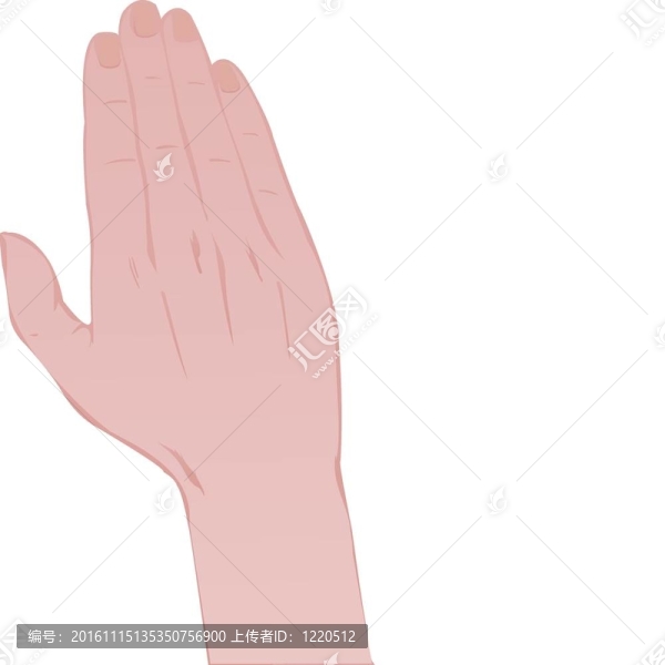 在白色背景上孤立的人的手
