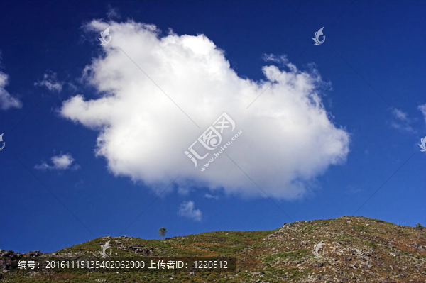 孤獨(dú)的樹-匯圖網(wǎng) www.fosd68.com 孤獨(dú)的樹