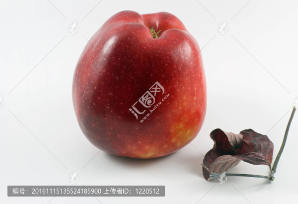 蘋果和葉子