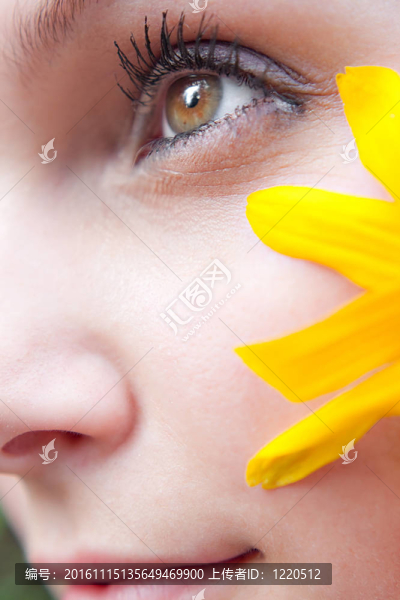 黃色的花姑娘