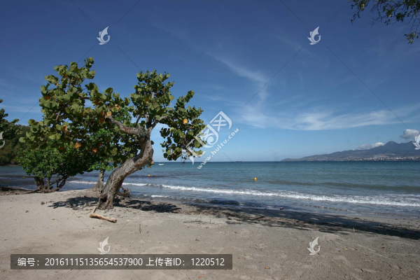 天堂加勒比海灘