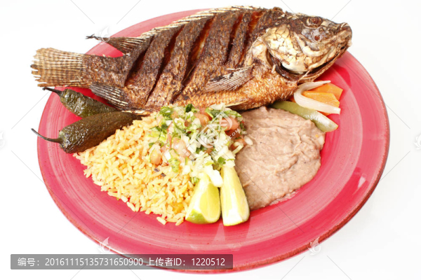 銀鱸Frita