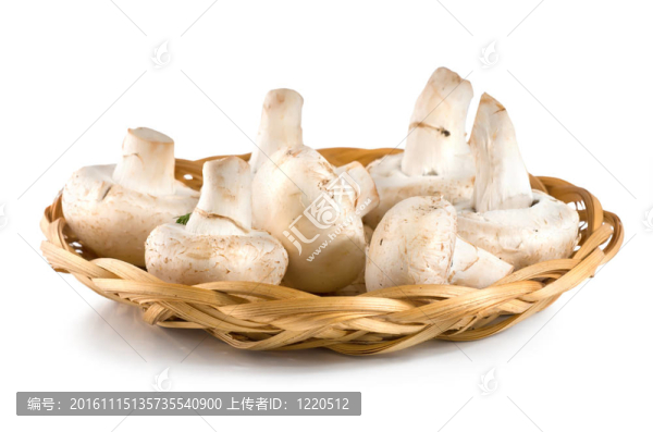 籃子里有蘑菇