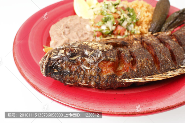 銀鱸Frita