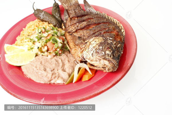 銀鱸Frita