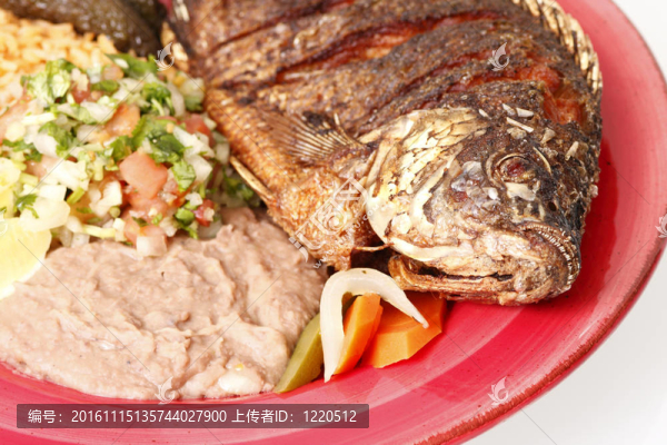 銀鱸Frita