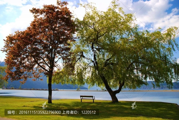 哈里森溫泉觀