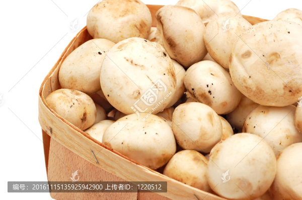 真正的蘑菇在籃子里