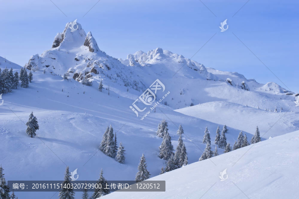 山頂