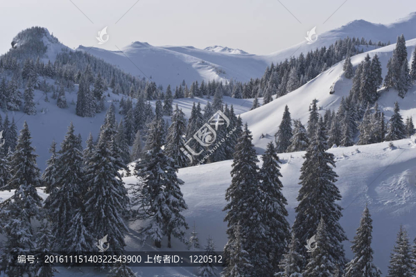 冬季景觀