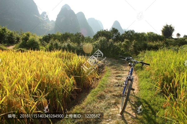 中國鄉(xiāng)村景觀與自行車