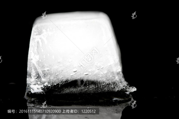 icecubs