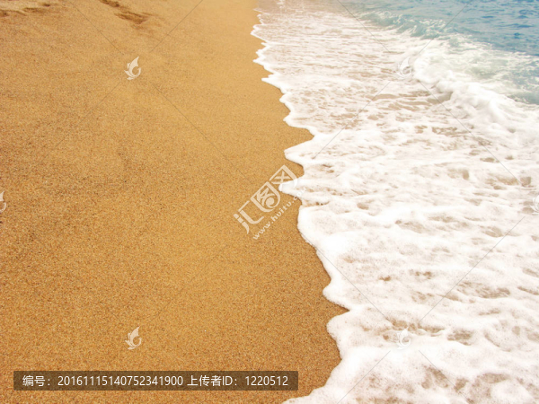 泡沫的海岸