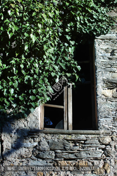 帶常春藤的破窗-匯圖網(wǎng) www.fosd68.com 帶常春藤的破窗