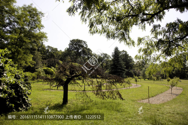 美麗的；人行道；人行道；人行道；真棒；豐富多彩；美