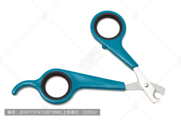 剪刀的爪子