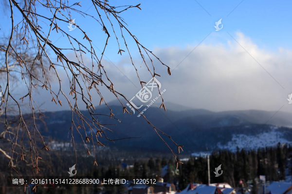 山地景觀。