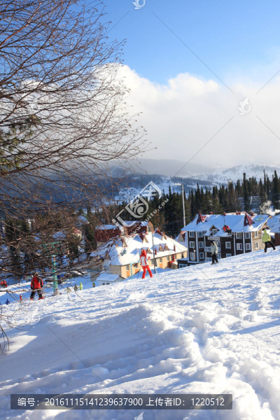 山滑雪勝地。
